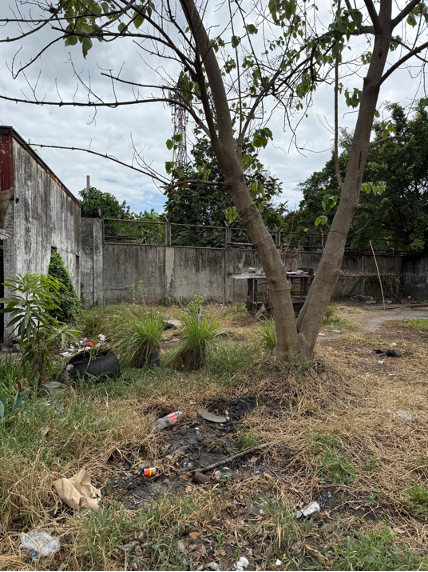 Elizco Road, Pasig City - Image 1