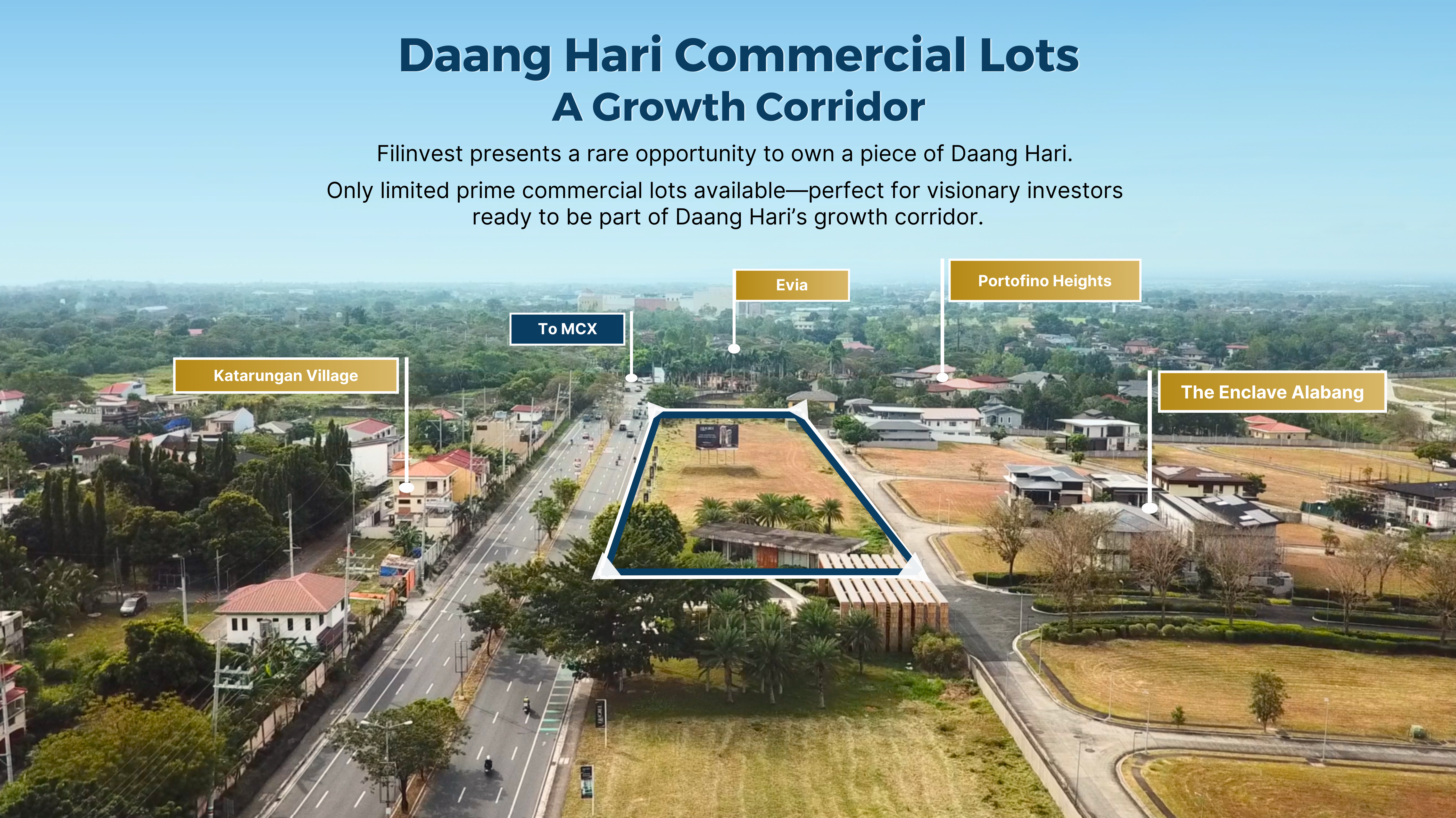 Daang Hari Commercial Lots - Image 1